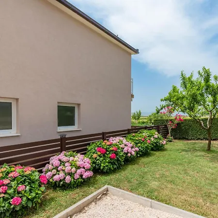 Sunny Valley فيلة *