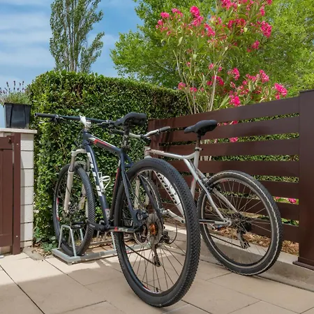 فيلة Sunny Valley *